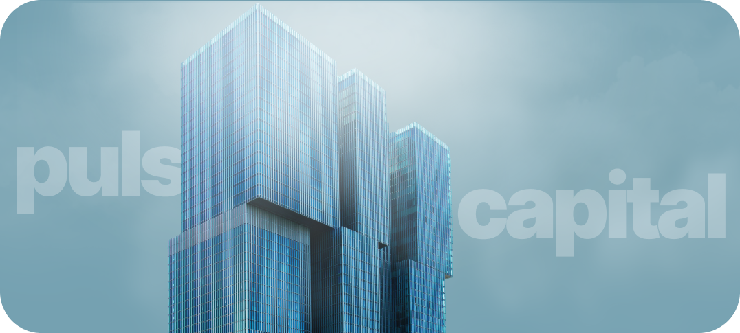Pulsar Capital Vision